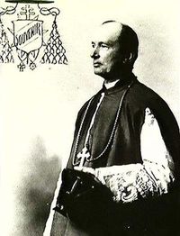 Le cardinal Louis-Nazaire B&eacute;gin (1840-1925)