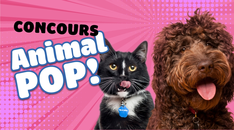 Concours animal pop!